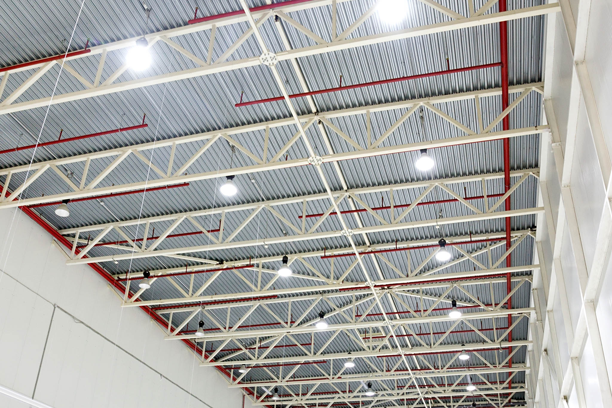 Inside Ceiling of Cold Storage Facility