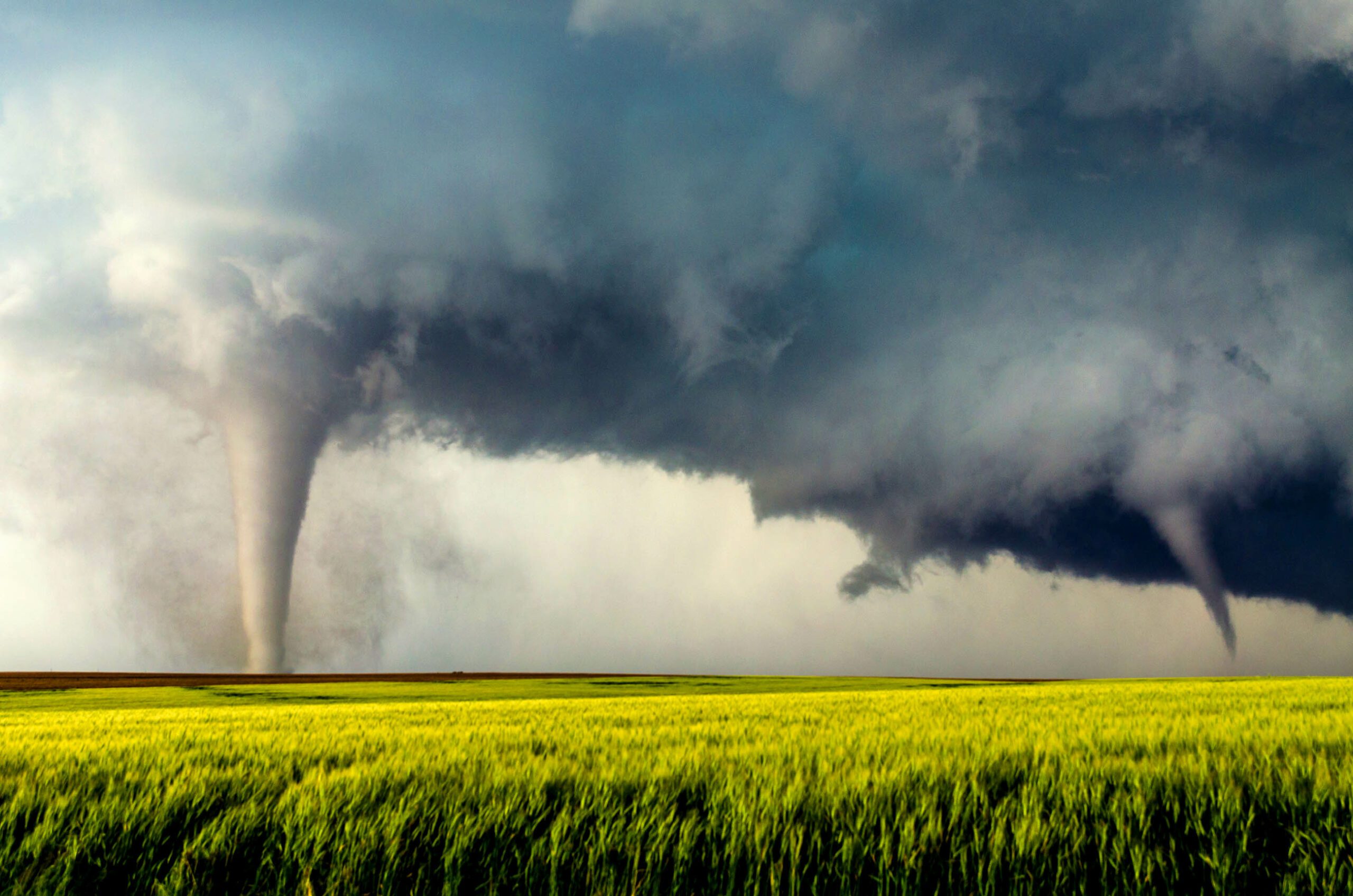 Tornadoes in a field